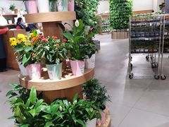 -鹿岛会员店 (龙湖三千集天街店)