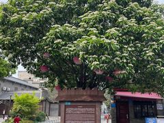 -襄阳古城