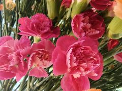 -春暖花开(西溪店)