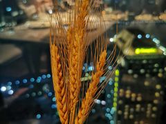 -翡翠36餐厅(浦东香格里拉店)