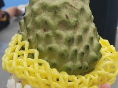 -油麻地果栏
