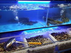 水产区-布多斯烤肉火锅自助(江腾广场店)