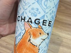 -霸王茶姬(大连万象汇店)
