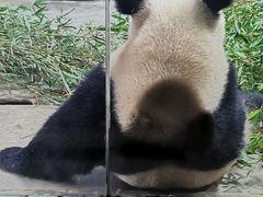 -上海野生动物园