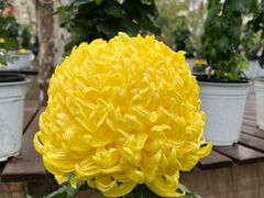 -共青国家森林公园-售票处