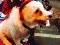 iphone_upload_pic-周日夜市