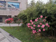 -下沉广场(羊坊店街道)