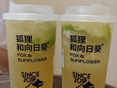 香水柠檬四季春-狐狸和向日葵(北京路店)