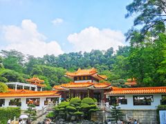 -深圳仙湖植物园-停车场
