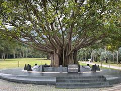 -深圳仙湖植物园
