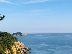 -合肥滨湖国家森林公园