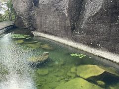 -伍山石窟