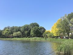 -泰丰公园