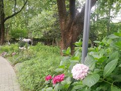 -静安公园(静安寺街道)