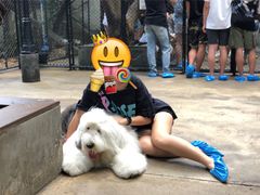 -TrueLove @ Neverland (Husky Cafe)