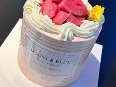 -山与蓝·轻糖鲜果蛋糕(勒泰店)