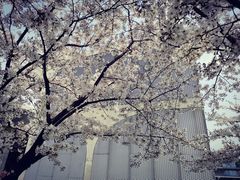 -龙美术馆西岸馆-停车场