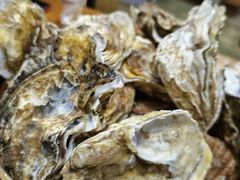 -老家黄墩小错鸡·活海鲜