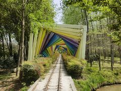 -合肥滨湖国家森林公园