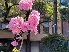 -四海公园(南山区)