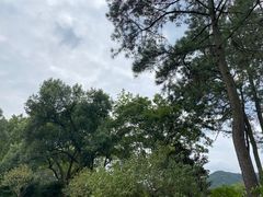 -杭州植物园