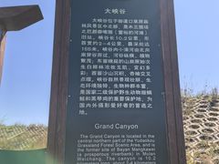 -御道口草原森林风景区