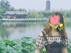 -西海子公园