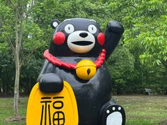 -上海海湾国家森林公园