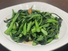 菜心-北海渔村酒楼·粤菜海鲜点心(新华店)