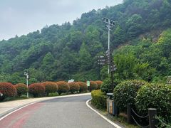 -桃花岭景区