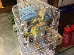 -玉桥餐厅(天坛店)