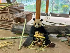 -云南野生动物园