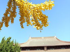 -苏州文庙(姑苏区)