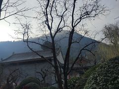 -白玉兰商务酒店(沈阳陆军总院店)