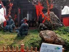 -游子山休闲旅游区