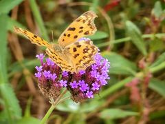 -祝甸砖窑文化馆