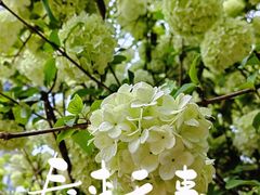 -大龙山(地铁站)