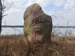 -墨潭桃花岛风景区
