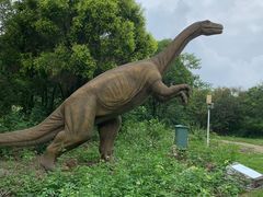 -龙谷湾旅游休闲度假区