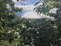 -萝卜寨羌文化生态旅游区