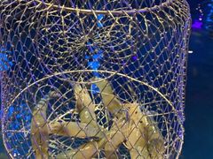 -钳真多钓虾馆·小龙虾海鲜烧烤(九六广场店)