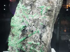 -中国地质大学逸夫博物馆