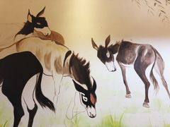 -小叫驴养生驴肉火锅(龙游店)