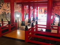 -蓝鲸湾汤泉(包河店)