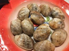 -鲜入围煮花胶鸡海鲜火锅