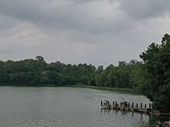 -仙湖旅游度假区