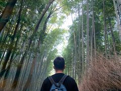 -岚山嵯峨野观光小火车