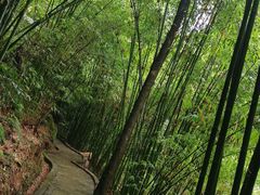 -沐川竹海旅游景区