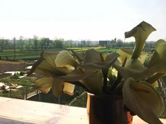 -翠田Green Field Kitchen