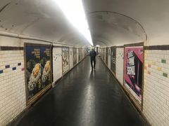 -巴黎圣母院